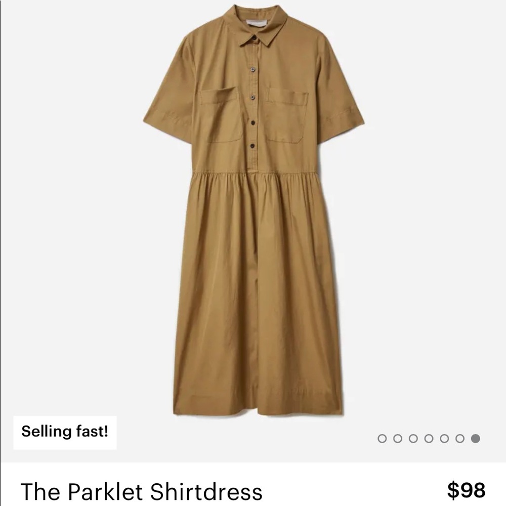 Everlane Shirtdress NWOT